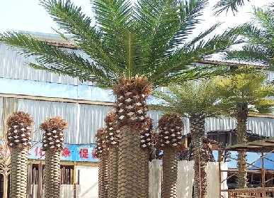 群植仿真棕榈树