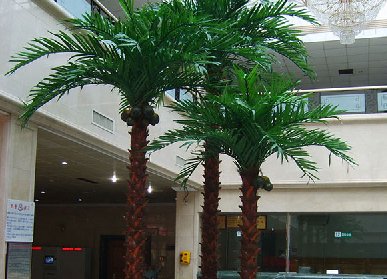 仿真棕榈树保养
