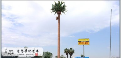 仿真棕榈树好处和作用