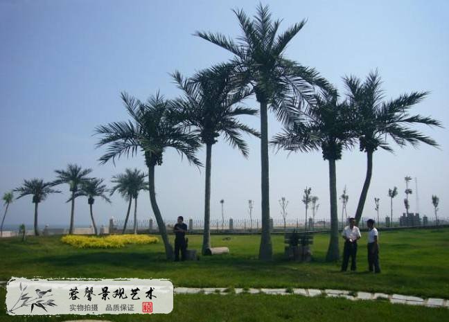 常见仿真棕榈树