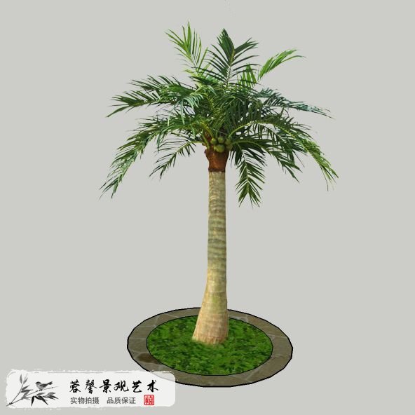 常见仿真棕榈树