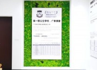 学校苔藓植物墙