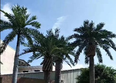 仿真棕榈树清洗保养