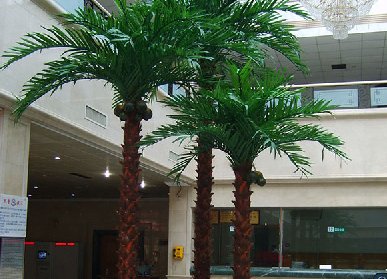 室内仿真棕榈树