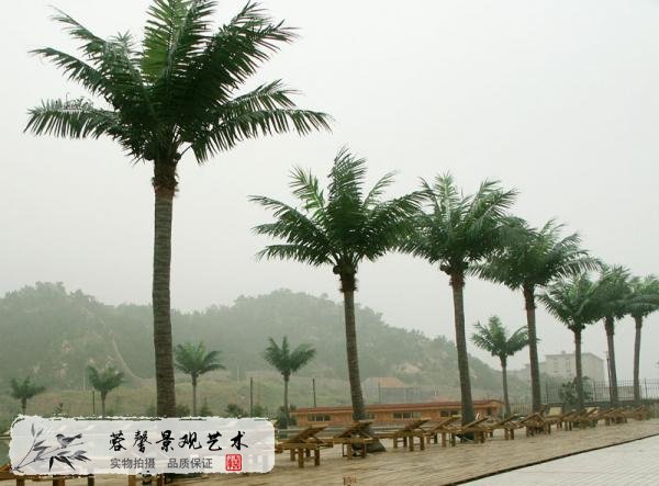 沙滩仿真椰子树