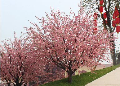 仿真树装饰