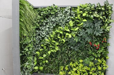 仿真植物好处