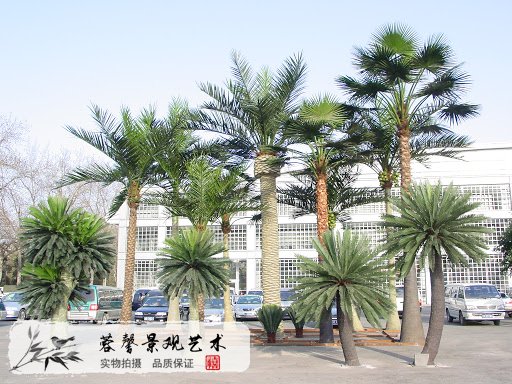 办公楼前仿真海藻树.jpg