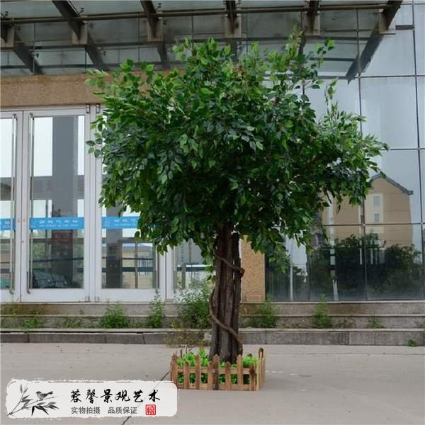 仿真榕树用在哪里