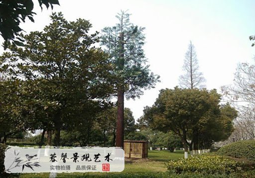 仿真基站树优点