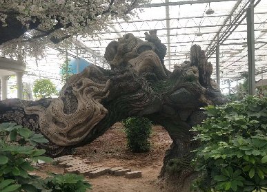 仿真桃花大树古树