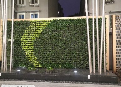 希尔顿酒店真植物墙