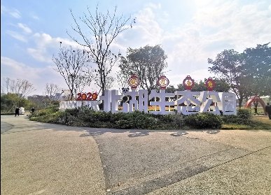 北湖生态公园绿雕