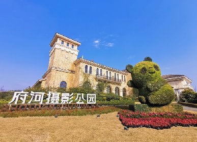 公园熊猫绿雕景观造景