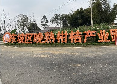 柑橘产业园广告绿雕