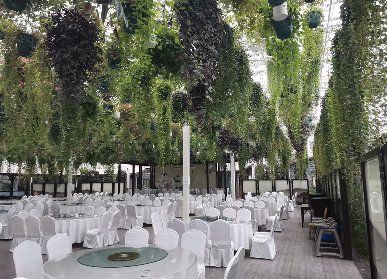 黄龙溪森林餐厅造景