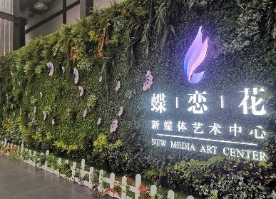 蝶恋花仿真植物墙