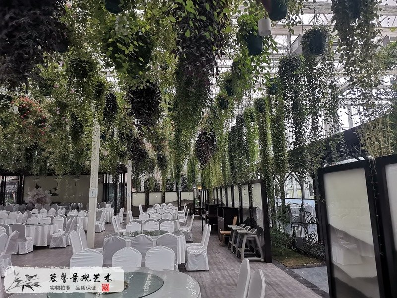 黄龙溪森林餐厅植物造景