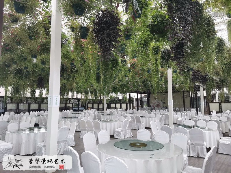 黄龙溪森林餐厅植物造景