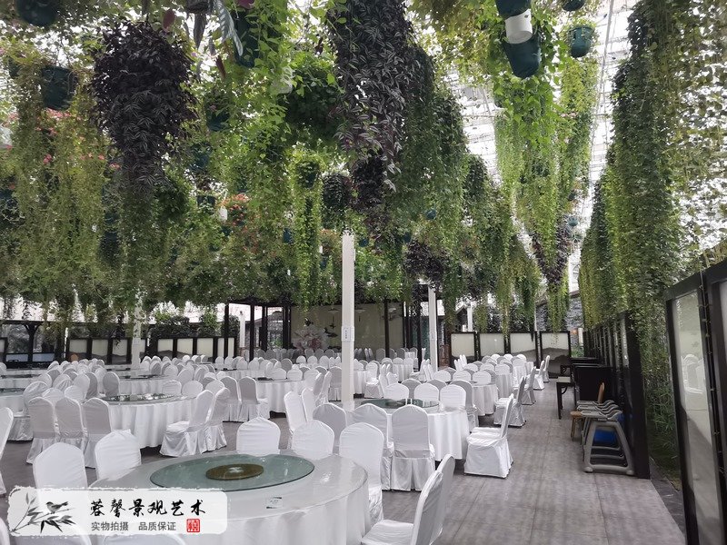 黄龙溪森林餐厅植物造景