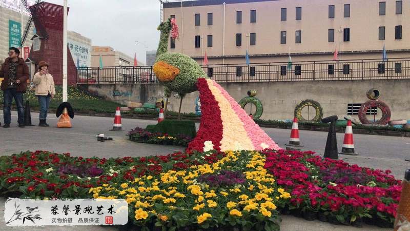 遂宁花卉节 (2).jpg