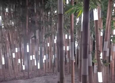 鲜花谷竹艺景观