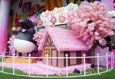 世豪广场樱花树