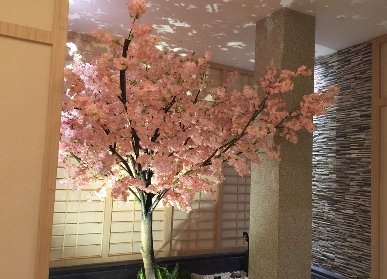 汤乐源温泉仿真樱花树