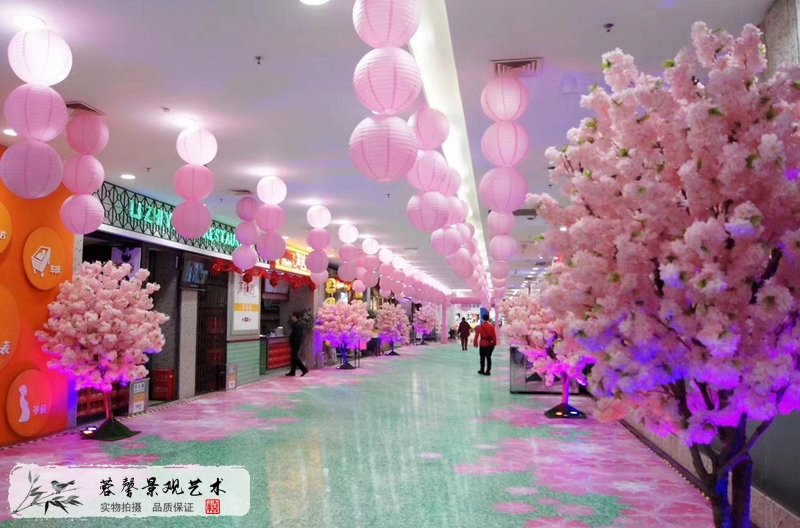 世豪广场樱花树