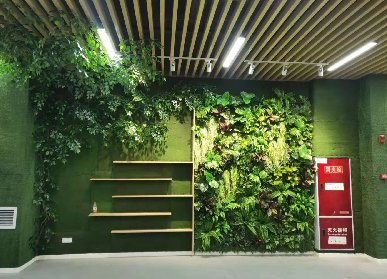仿真植物墙的市场价值