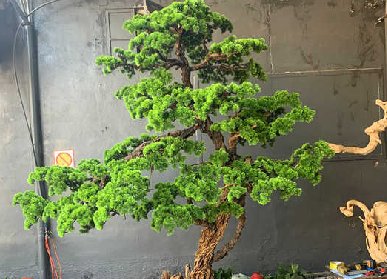 室内仿真松树