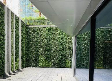 植物墙围墙
