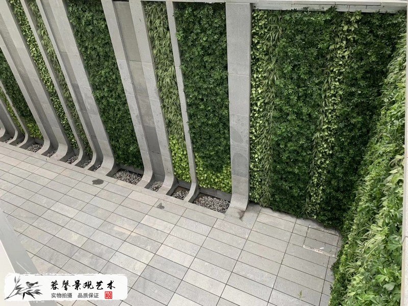 珠海横琴围墙植物墙