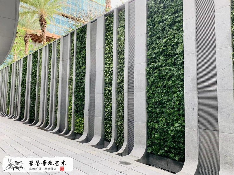 珠海横琴围墙植物墙