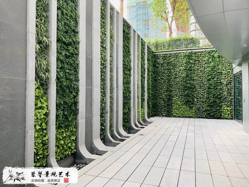 珠海横琴围墙植物墙