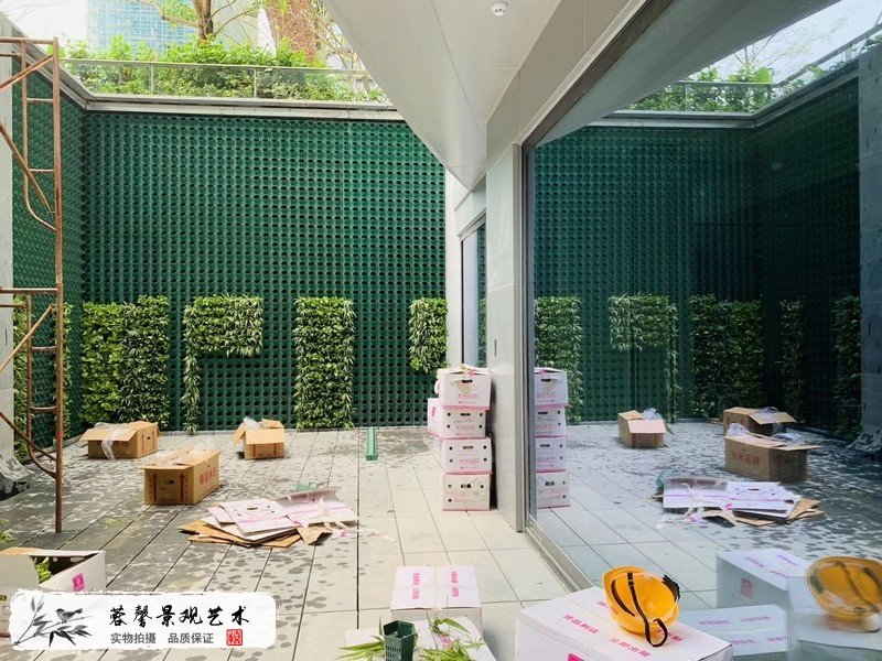 珠海横琴围墙植物墙