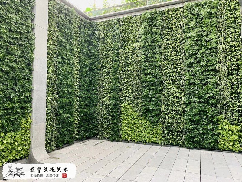 珠海横琴围墙植物墙