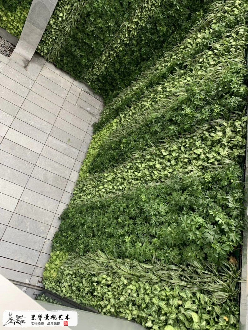 珠海横琴围墙植物墙