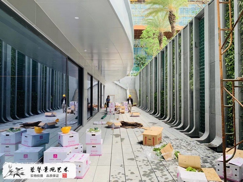 珠海横琴围墙植物墙