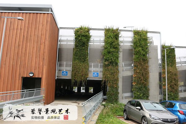 商业园外墙植物墙