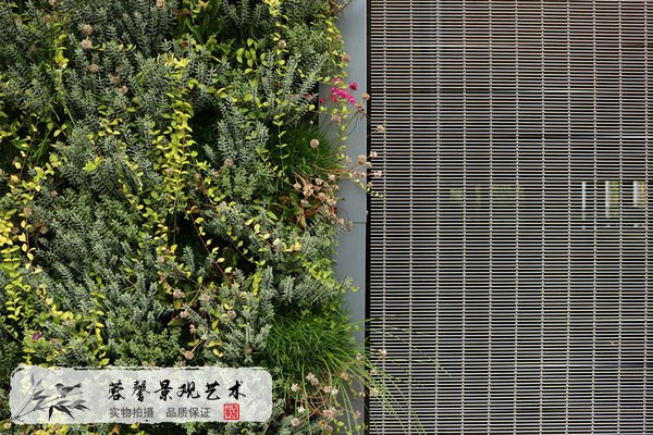 商业园外墙植物墙