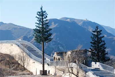 仿真松树避雷