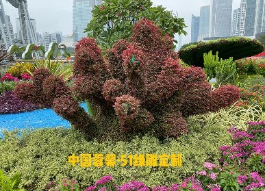 珊瑚礁仿真绿雕