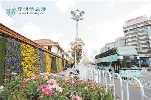 垂直绿化绿植