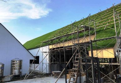 屋顶仿真草皮