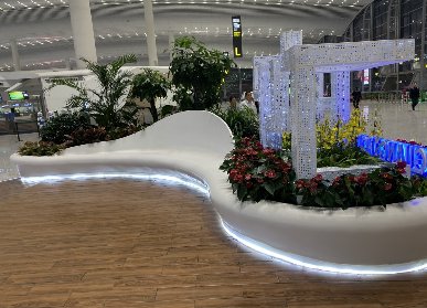 机场垂直绿化