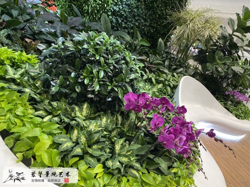 广州机场室内生态景观垂直绿化