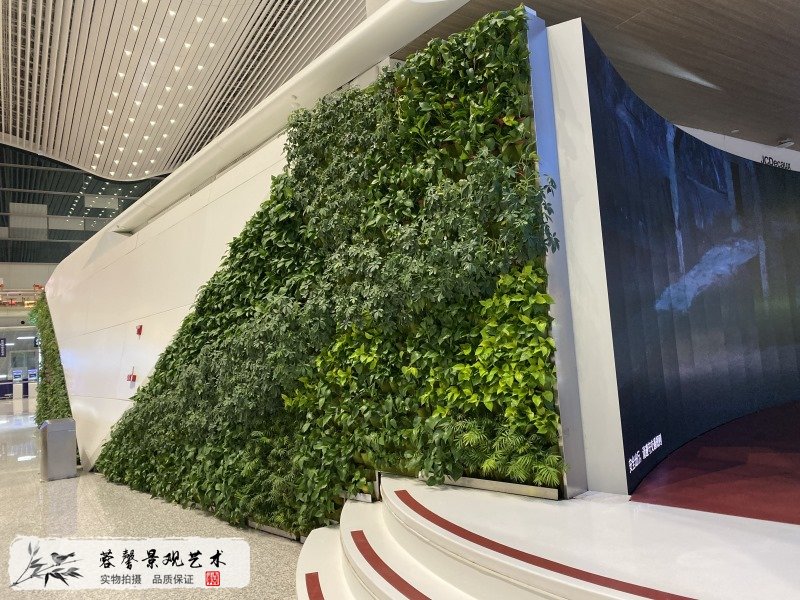 广州机场室内生态景观垂直绿化