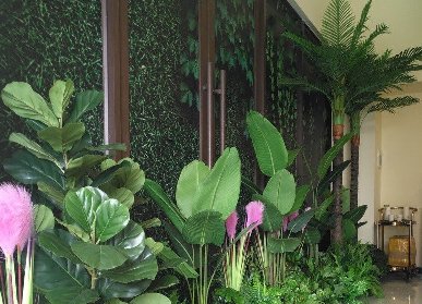 售楼部绿植美陈
