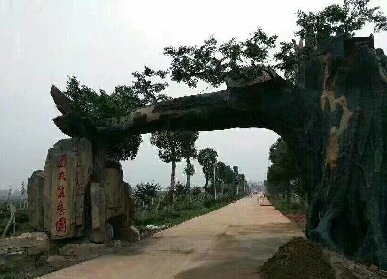 仿真榕树风水